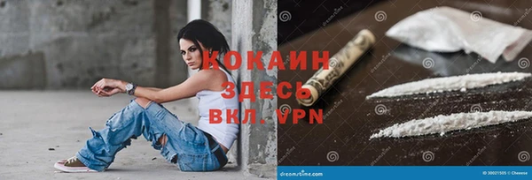 СК Строитель