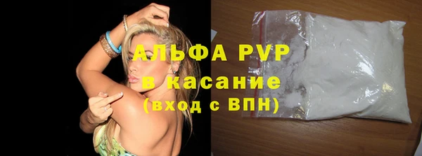 СК Строитель