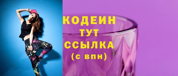 СК Строитель