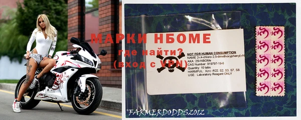 СК Строитель